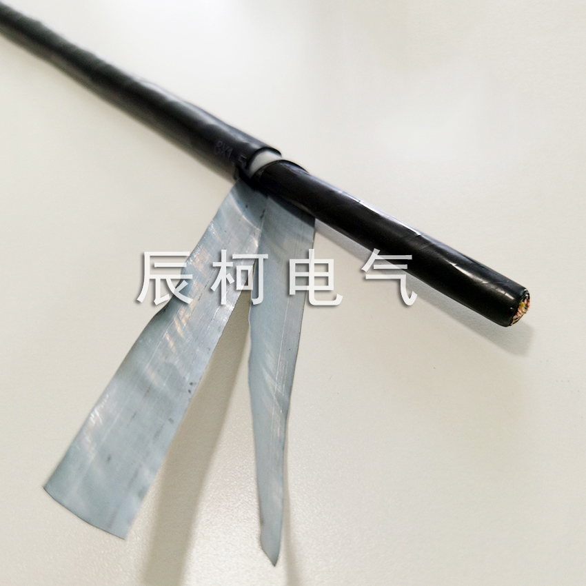 ZR-DJFPVP22-2*2*1.5耐高溫計(jì)算機(jī)電纜